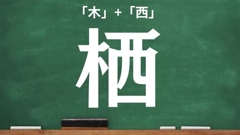 木 象|漢字「橡」の部首・画数・読み方・筆順・意味など